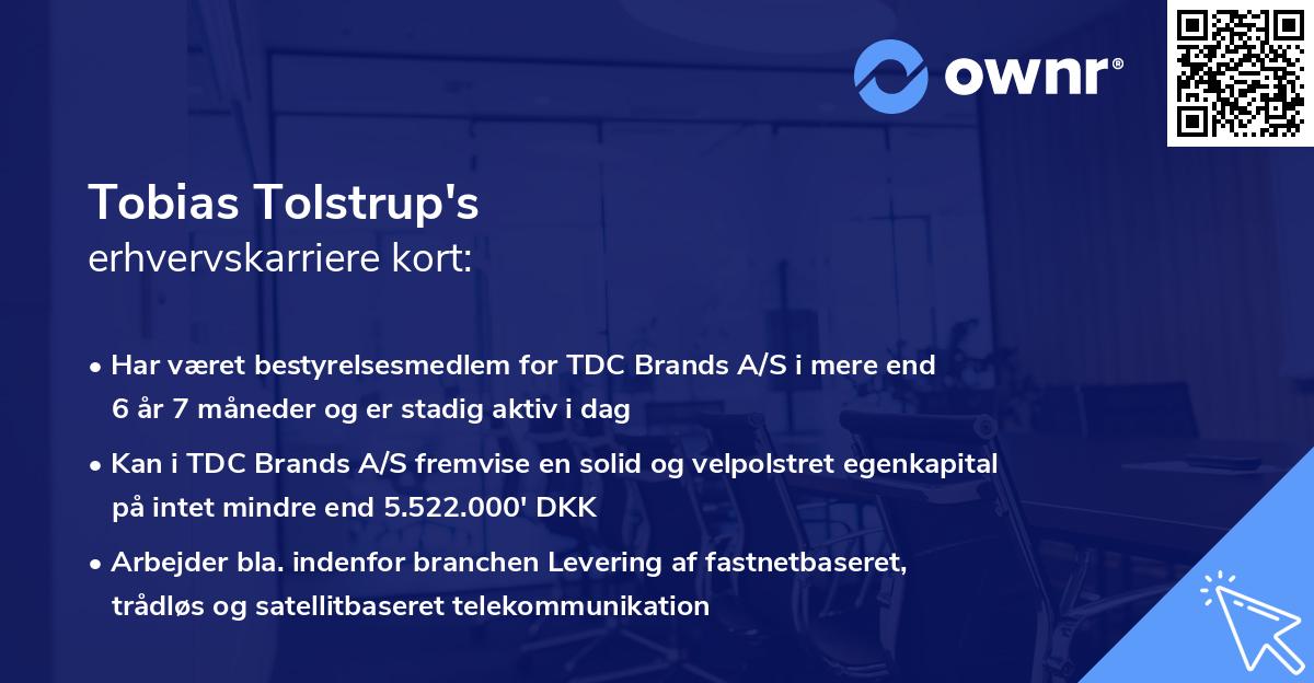 Tobias Tolstrup's erhvervskarriere kort