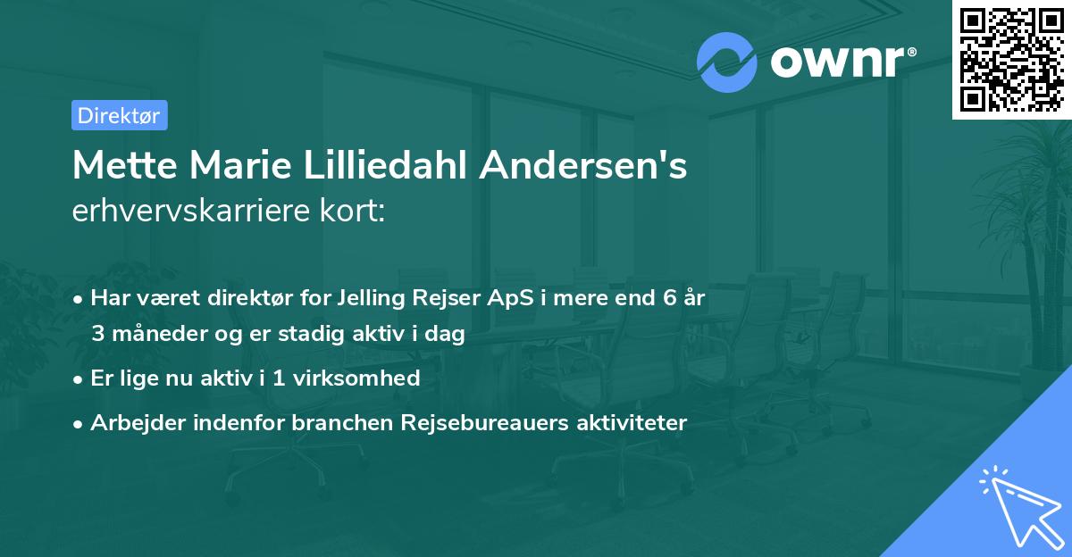 Mette Marie Lilliedahl Andersen's erhvervskarriere kort