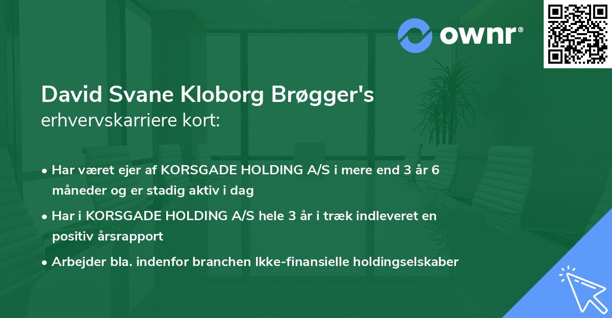 David Svane Kloborg Brøgger's erhvervskarriere kort