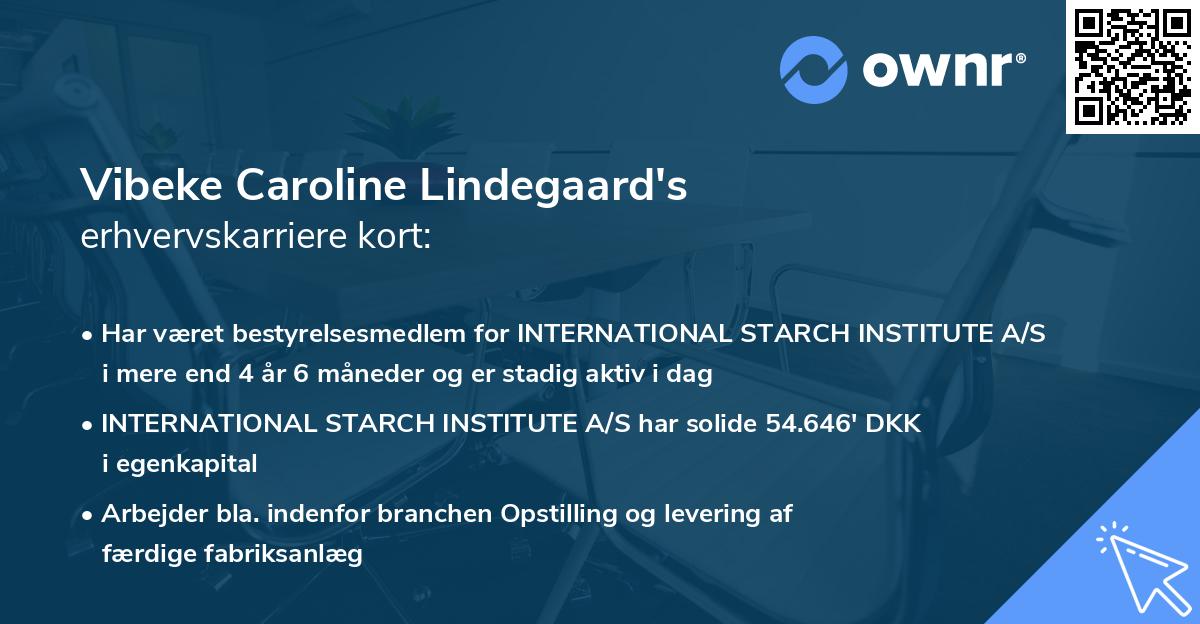 Vibeke Caroline Lindegaard's erhvervskarriere kort