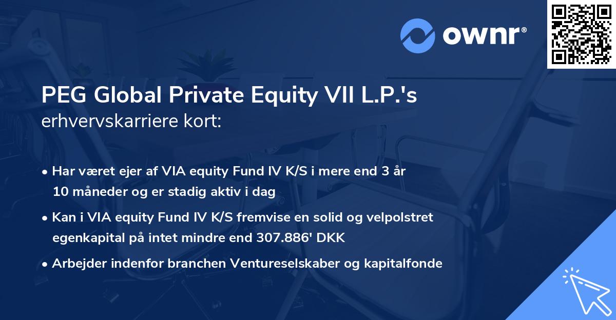 PEG Global Private Equity VII L.P.'s erhvervskarriere kort