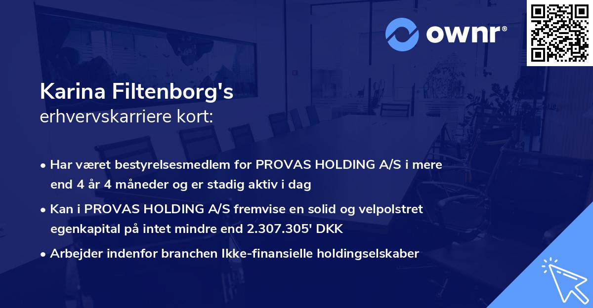 Karina Filtenborg's erhvervskarriere kort