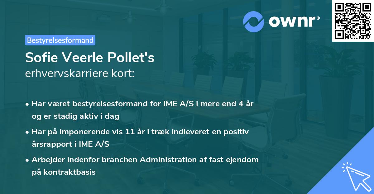 Sofie Veerle Pollet's erhvervskarriere kort