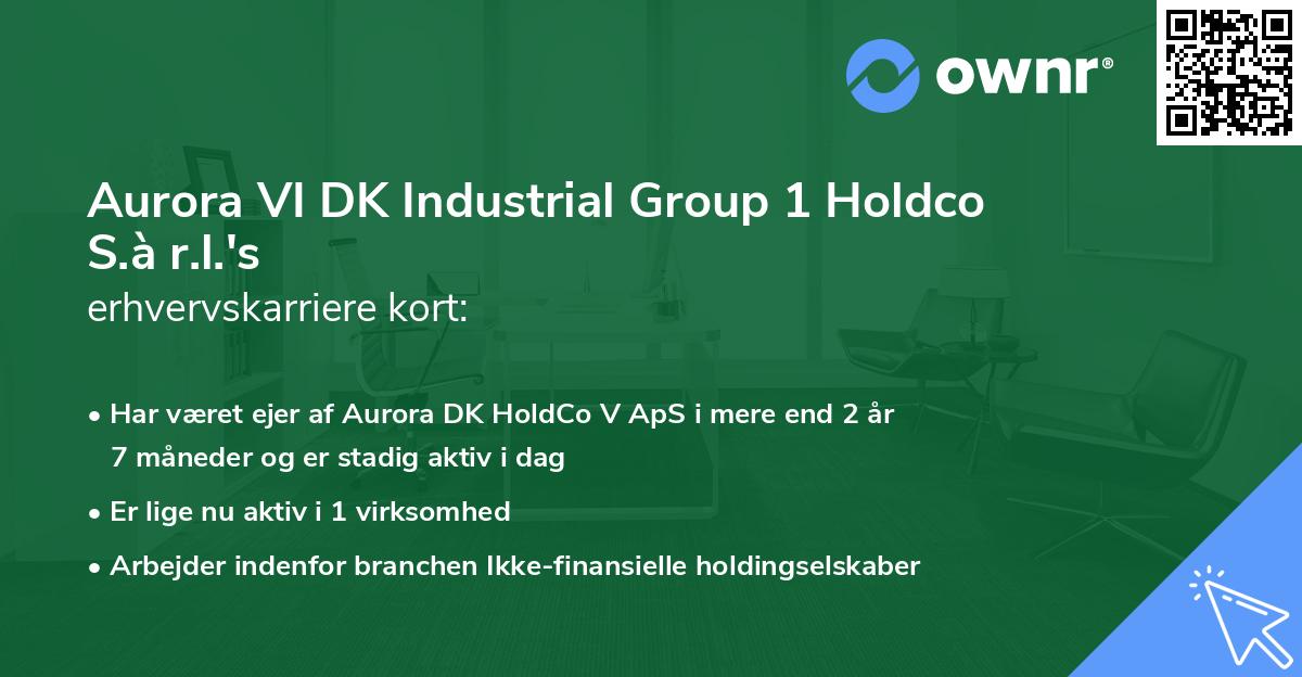 Aurora VI DK Industrial Group 1 Holdco S.à r.l.'s erhvervskarriere kort