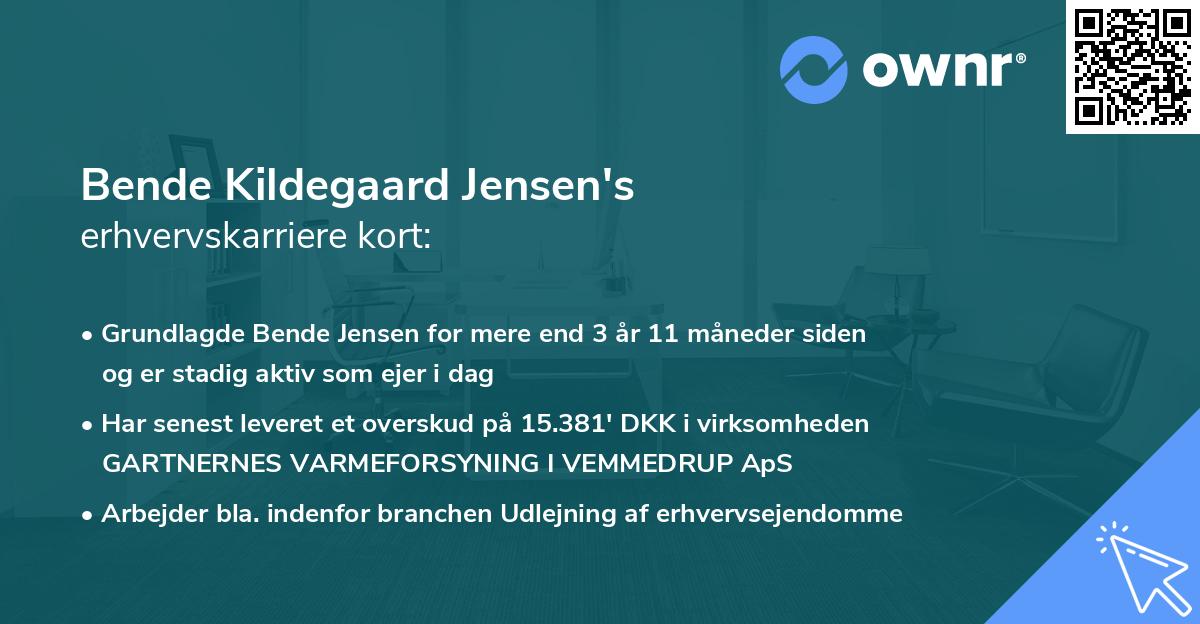 Bende Kildegaard Jensen's erhvervskarriere kort