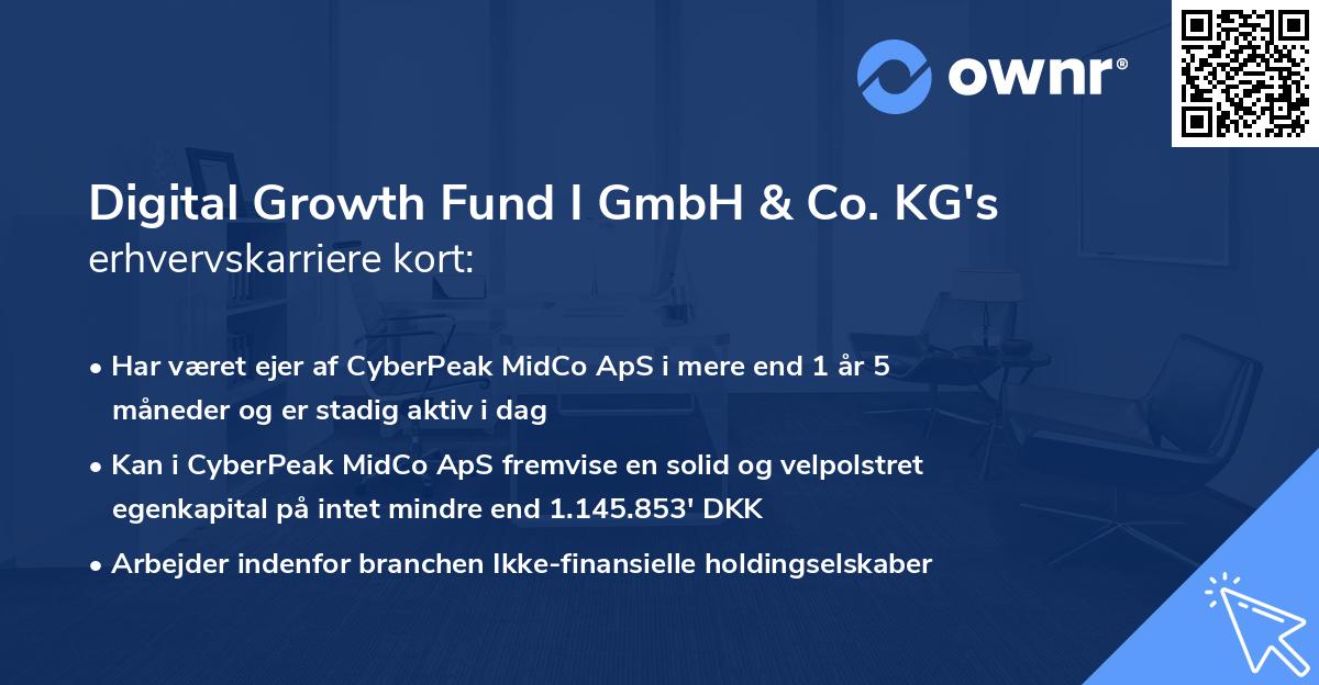 Digital Growth Fund I GmbH & Co. KG's erhvervskarriere kort