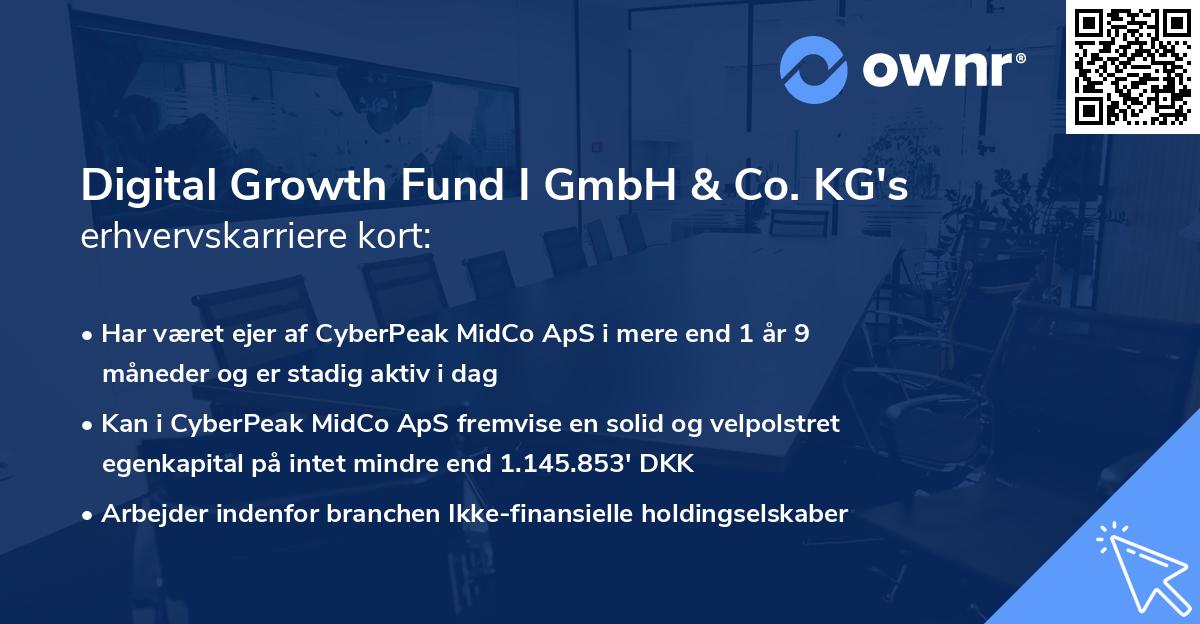 Digital Growth Fund I GmbH & Co. KG's erhvervskarriere kort