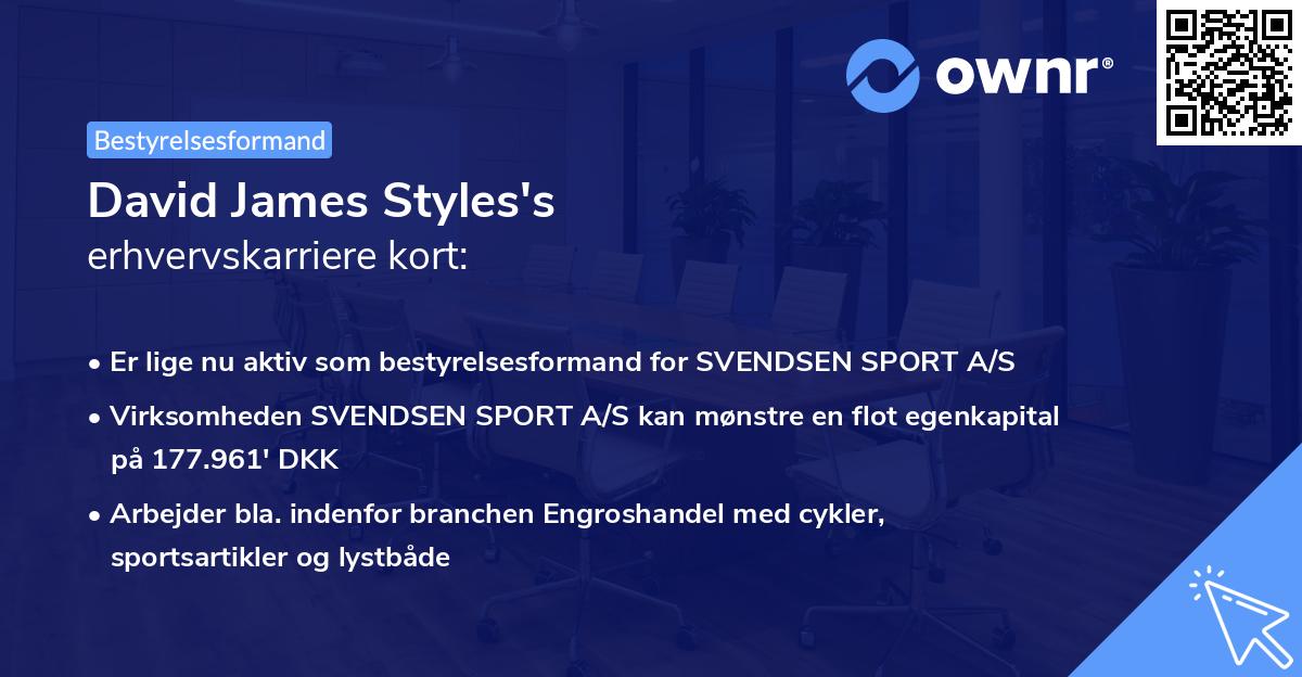 David James Styles's erhvervskarriere kort