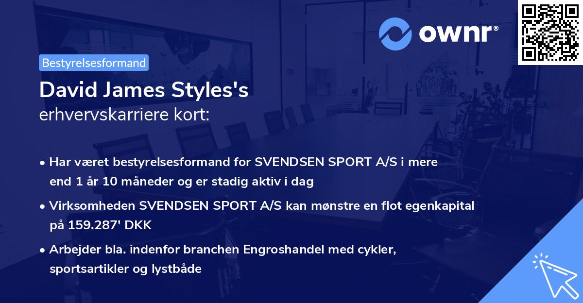 David James Styles's erhvervskarriere kort