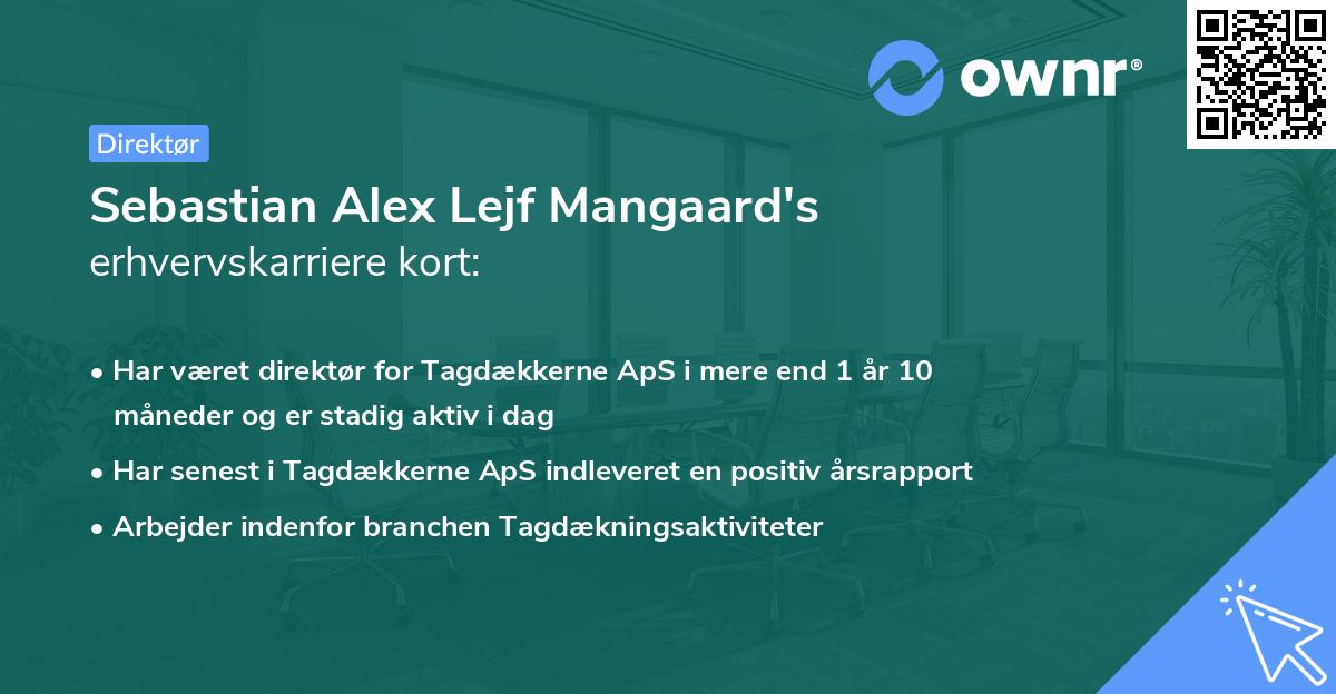 Sebastian Alex Lejf Mangaard's erhvervskarriere kort