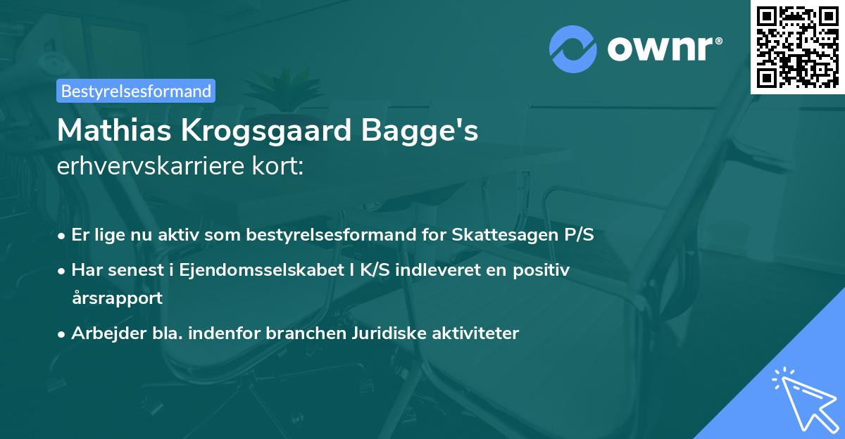 Mathias Krogsgaard Bagge's erhvervskarriere kort