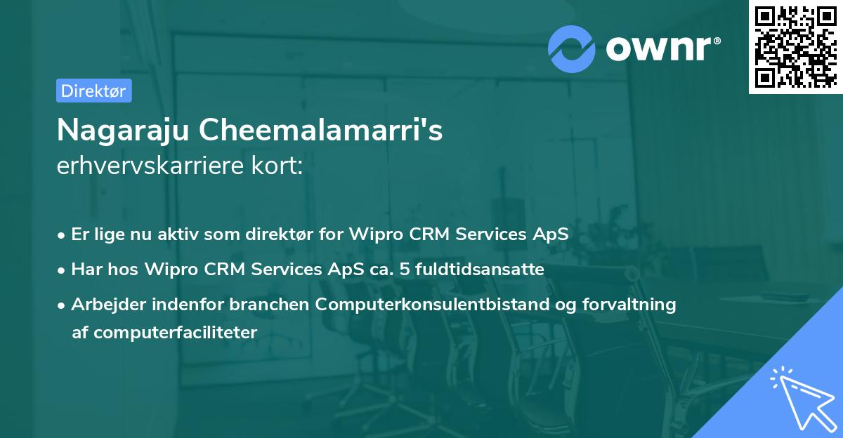 Nagaraju Cheemalamarri's erhvervskarriere kort