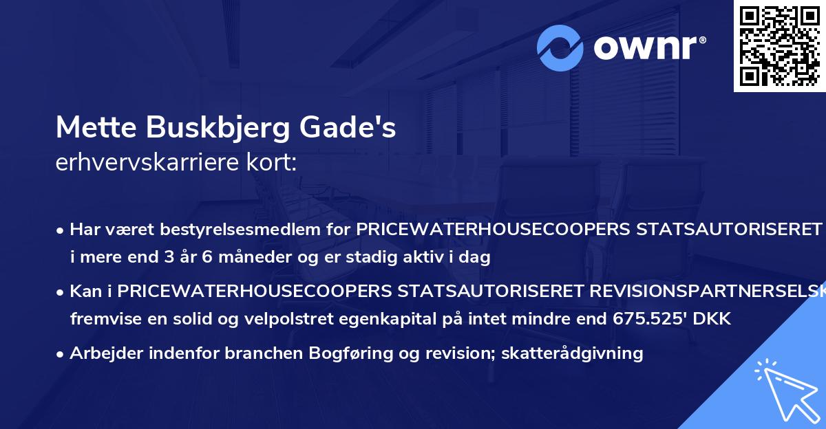 Mette Buskbjerg Gade's erhvervskarriere kort