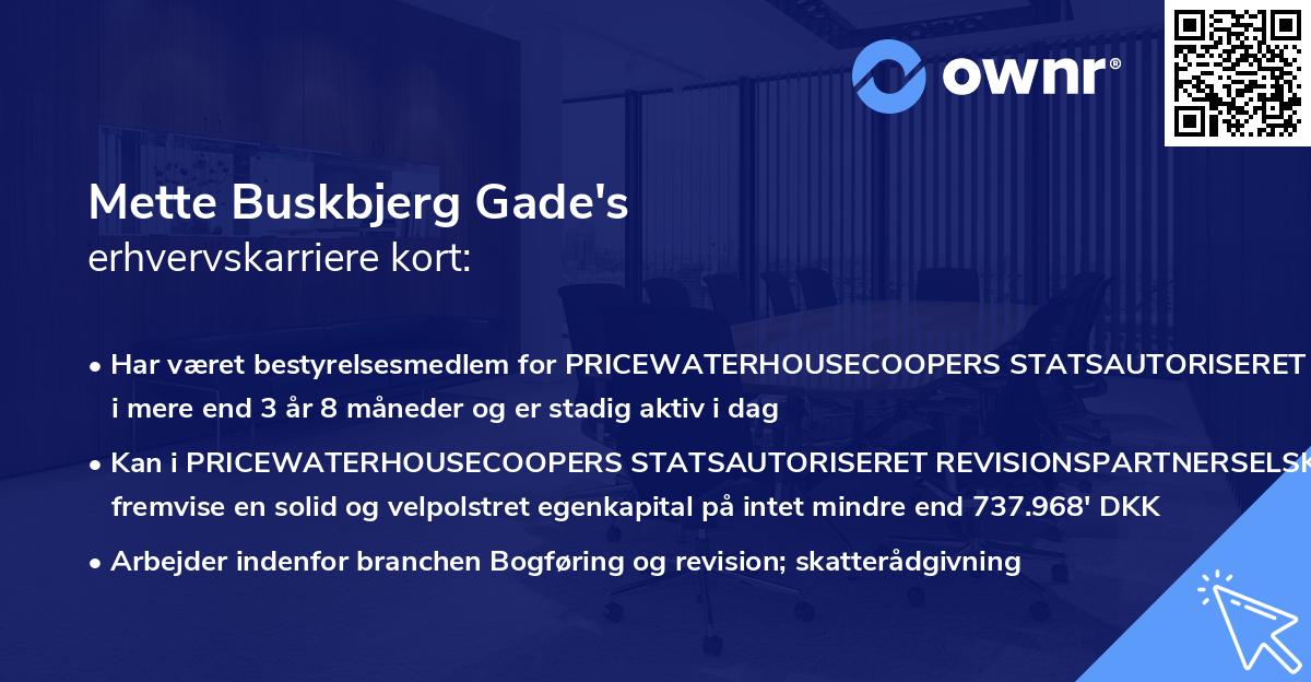 Mette Buskbjerg Gade's erhvervskarriere kort
