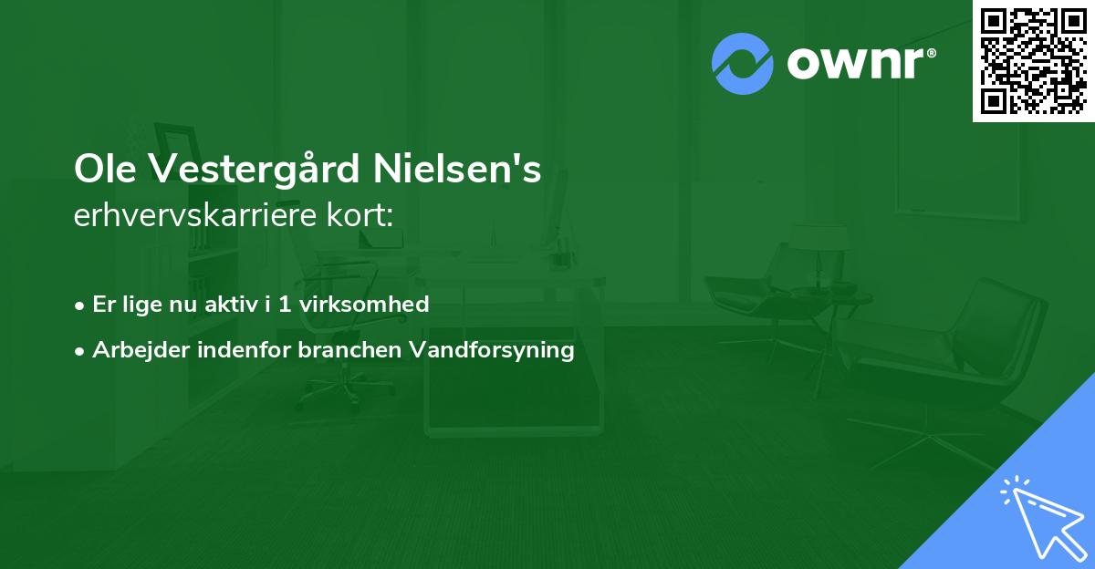 Ole Vestergård Nielsen's erhvervskarriere kort