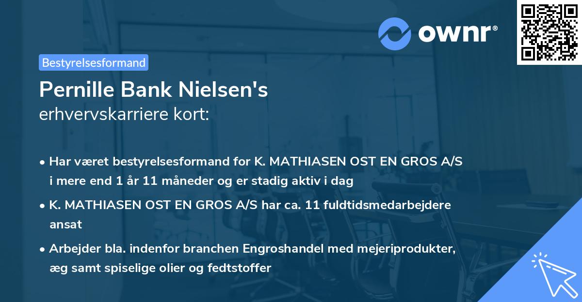 Pernille Bank Nielsen's erhvervskarriere kort