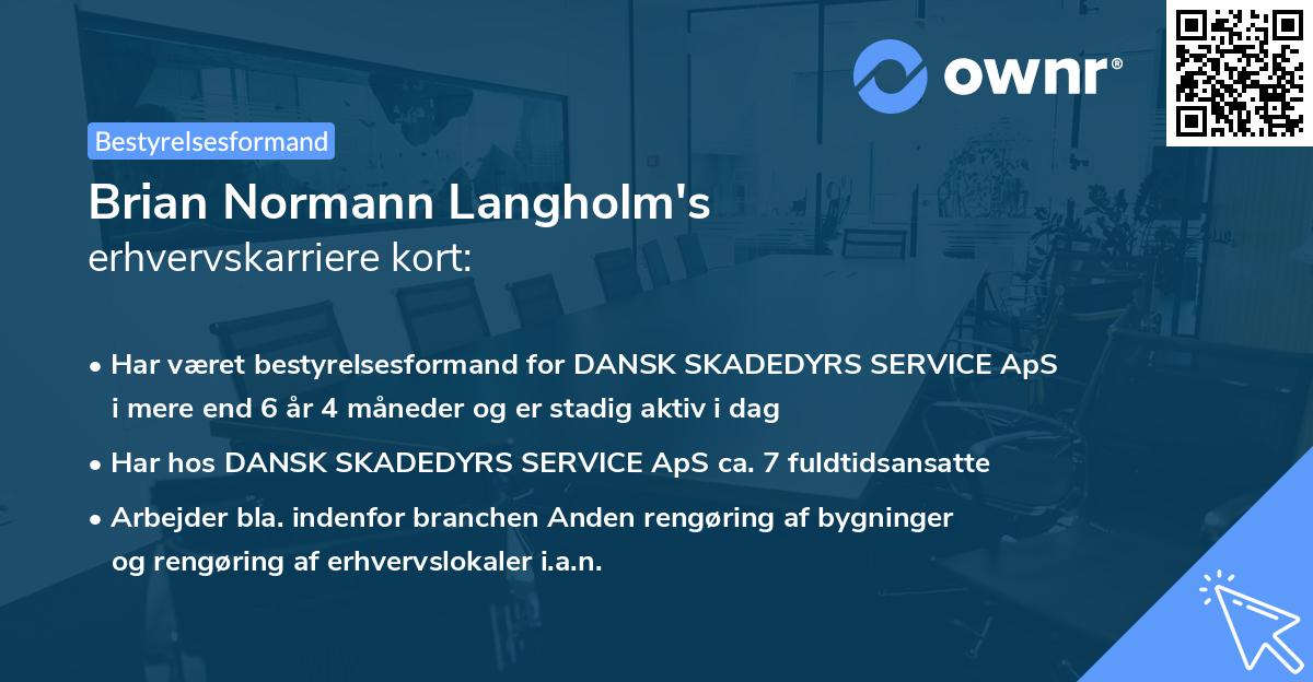Brian Normann Langholm's erhvervskarriere kort