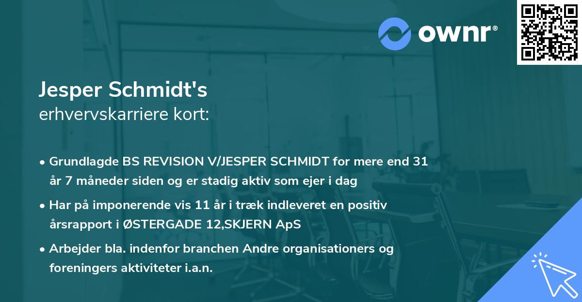 Jesper Schmidt's erhvervskarriere kort