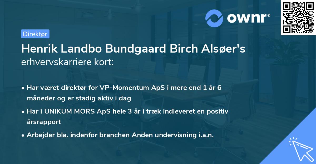 Henrik Landbo Bundgaard Birch Alsøer's erhvervskarriere kort