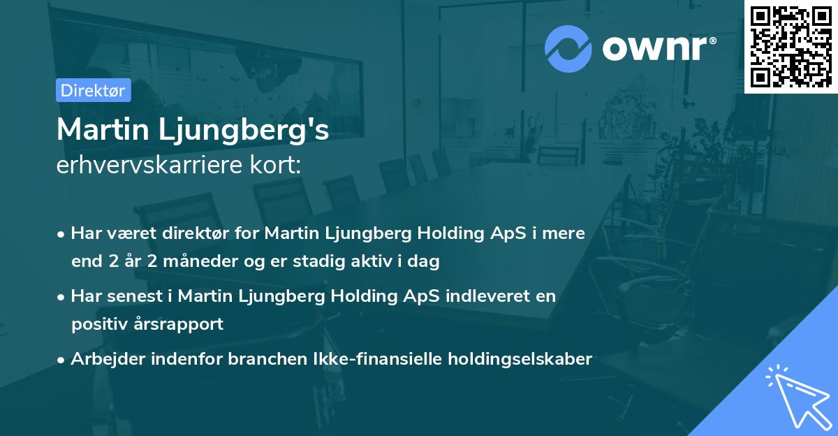 Martin Ljungberg's erhvervskarriere kort
