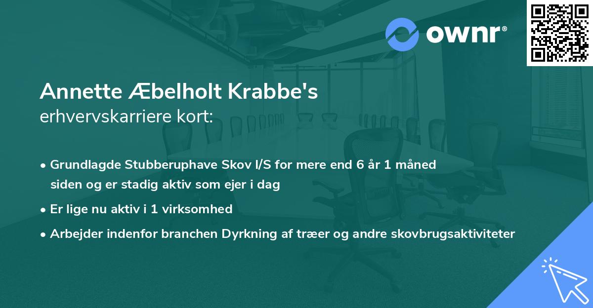 Annette Æbelholt Krabbe's erhvervskarriere kort