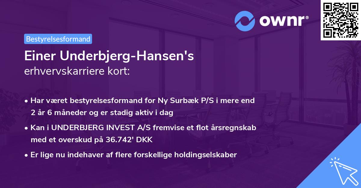 Einer Underbjerg-Hansen's erhvervskarriere kort