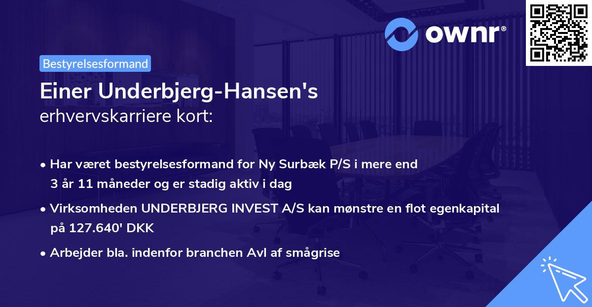 Einer Underbjerg-Hansen's erhvervskarriere kort
