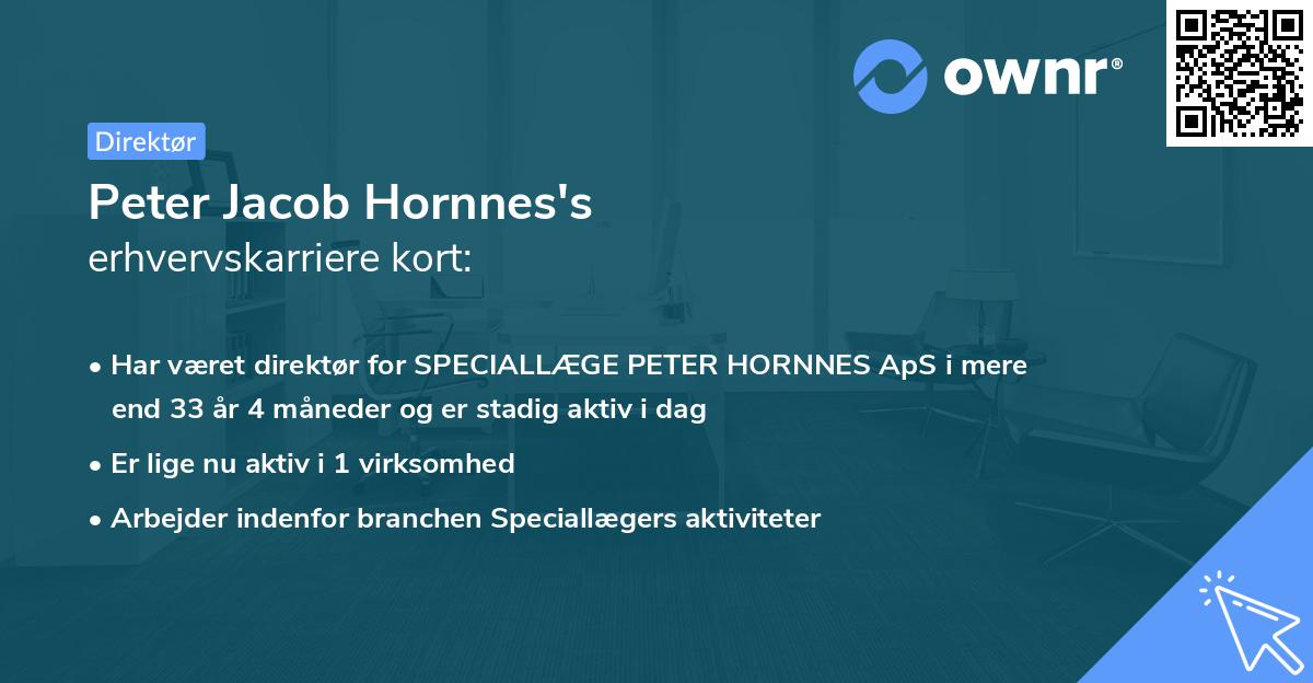 Peter Jacob Hornnes's erhvervskarriere kort