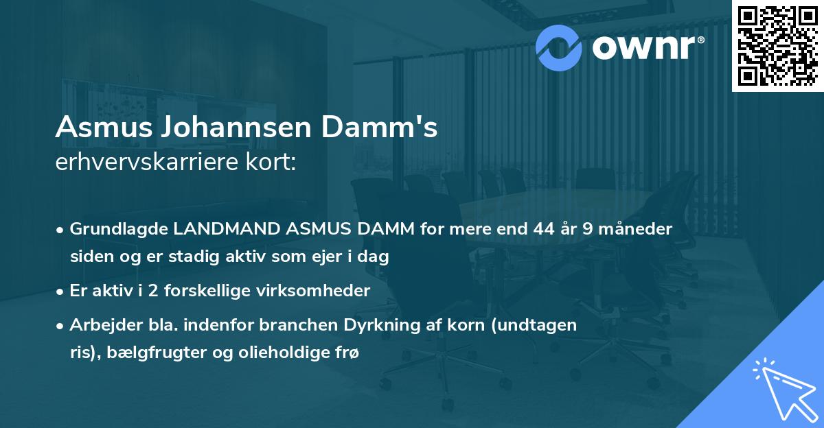 Asmus Johannsen Damm's erhvervskarriere kort