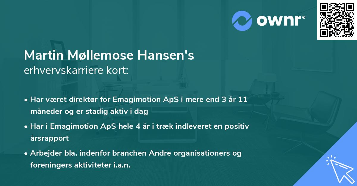 Martin Møllemose Hansen's erhvervskarriere kort
