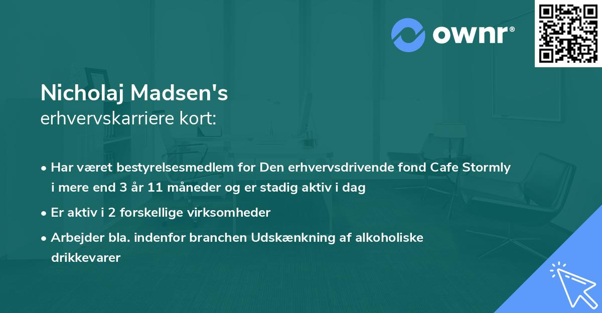 Nicholaj Madsen's erhvervskarriere kort