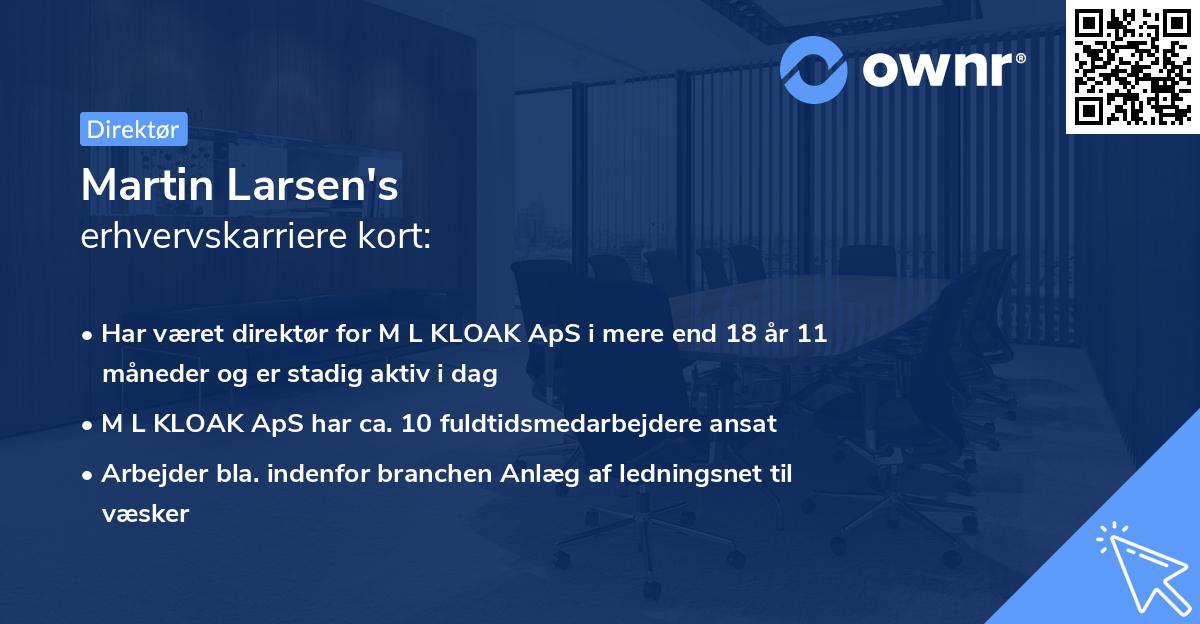 Martin Larsen's erhvervskarriere kort