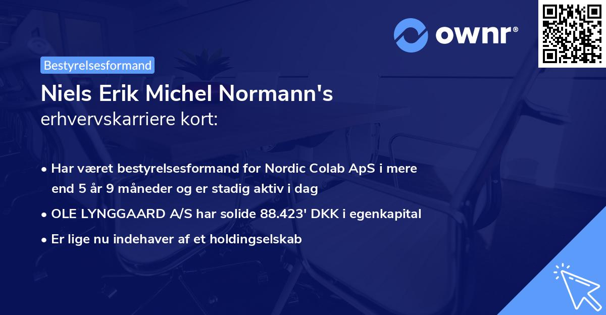 Niels Erik Michel Normann's erhvervskarriere kort