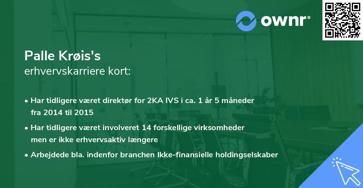 Palle Krøis's erhvervskarriere kort