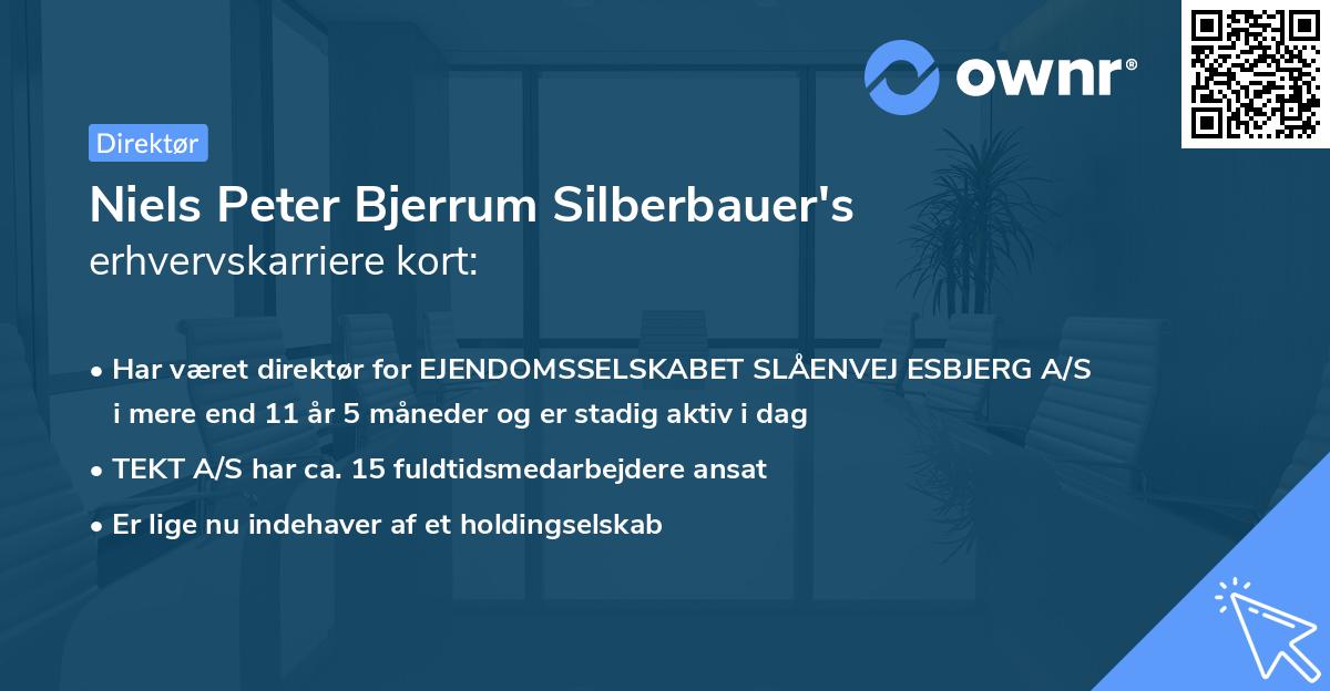 Niels Peter Bjerrum Silberbauer's erhvervskarriere kort