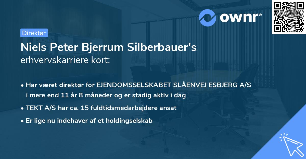 Niels Peter Bjerrum Silberbauer's erhvervskarriere kort