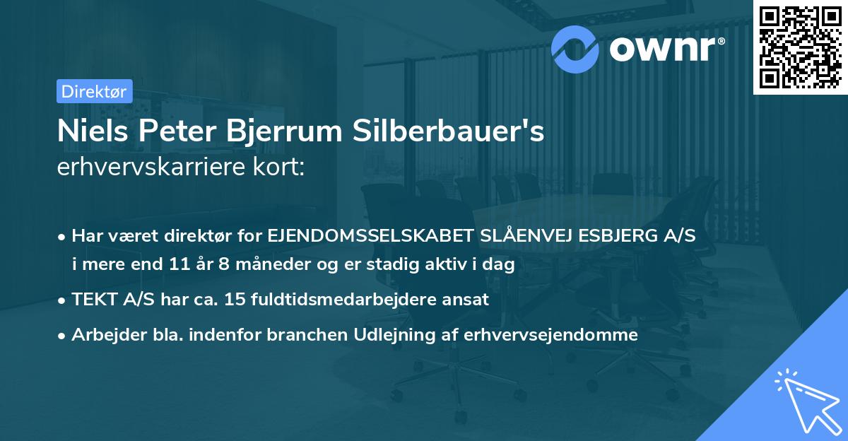 Niels Peter Bjerrum Silberbauer's erhvervskarriere kort