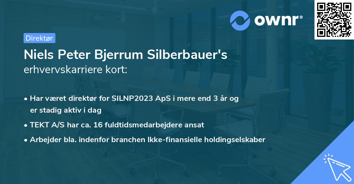 Niels Peter Bjerrum Silberbauer's erhvervskarriere kort