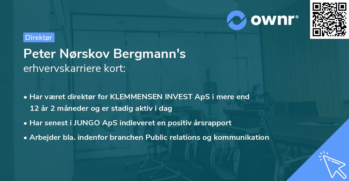 Peter Nørskov Bergmann's erhvervskarriere kort
