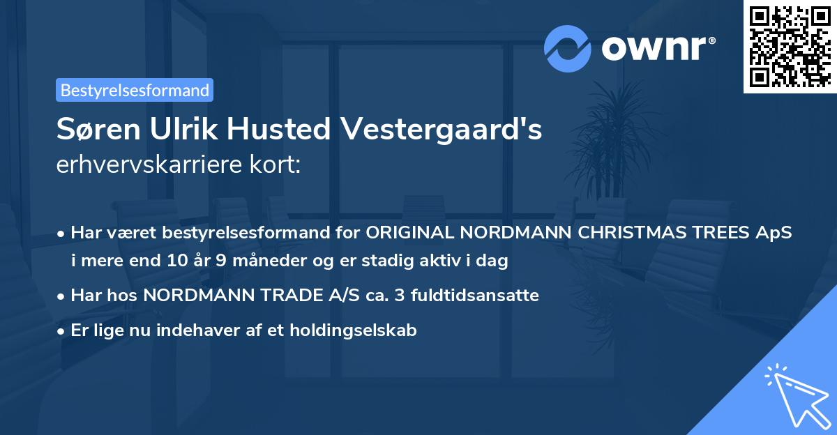 Søren Ulrik Husted Vestergaard's erhvervskarriere kort