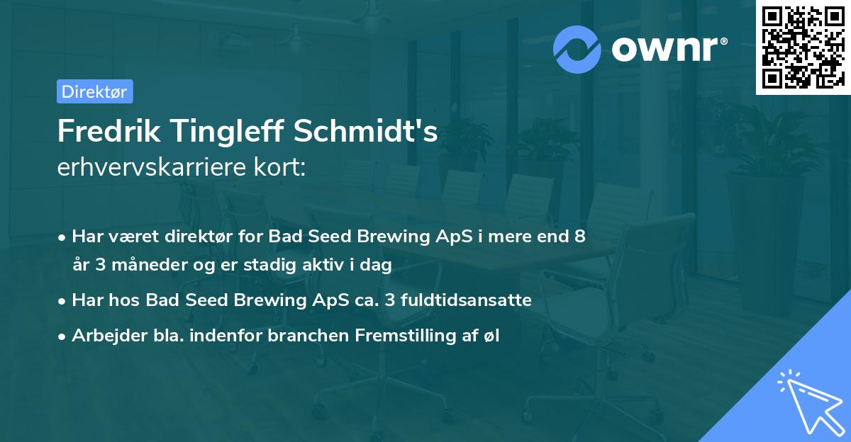Fredrik Tingleff Schmidt's erhvervskarriere kort