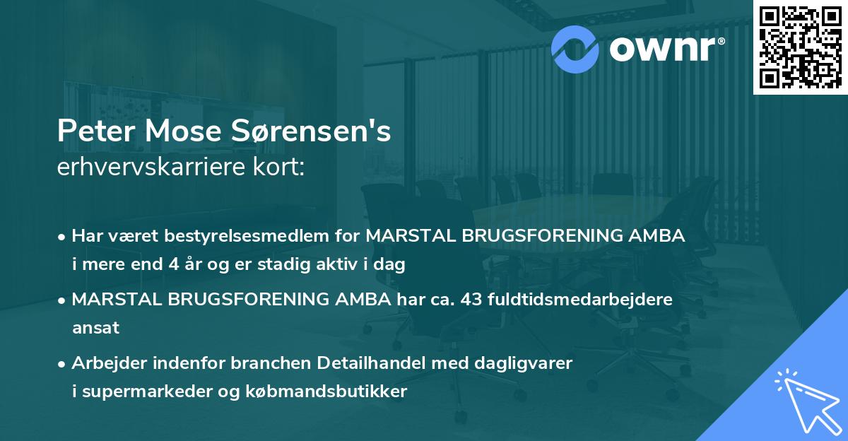 Peter Mose Sørensen's erhvervskarriere kort