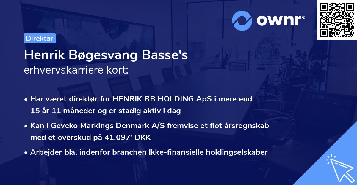 Henrik Bøgesvang Basse's erhvervskarriere kort