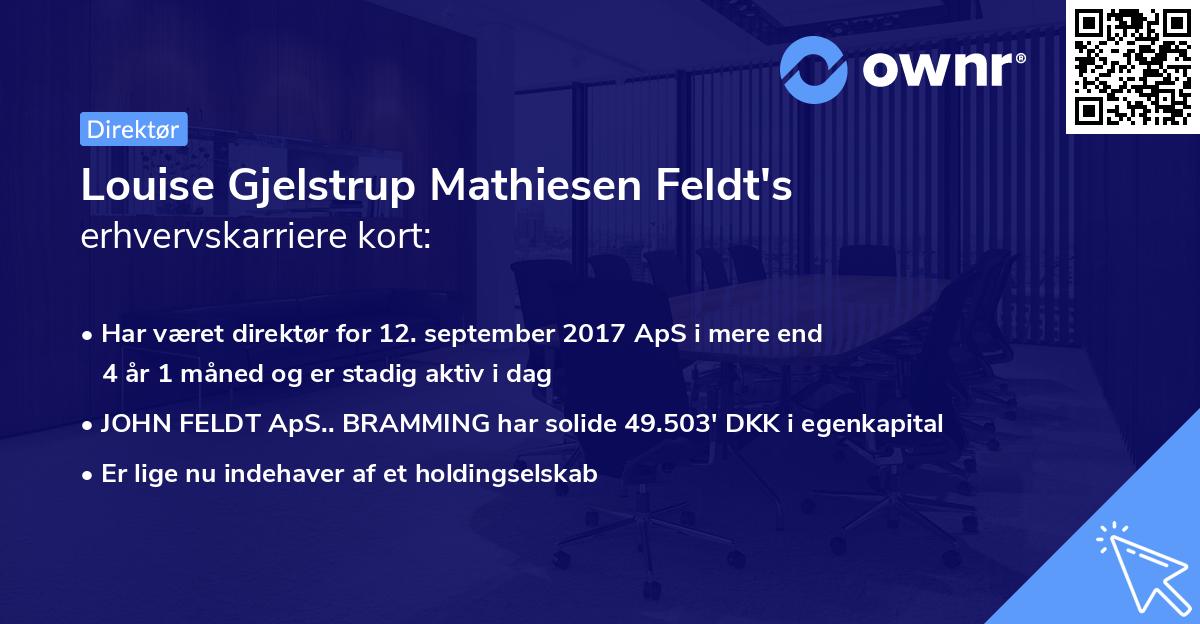 Louise Gjelstrup Mathiesen Feldt's erhvervskarriere kort