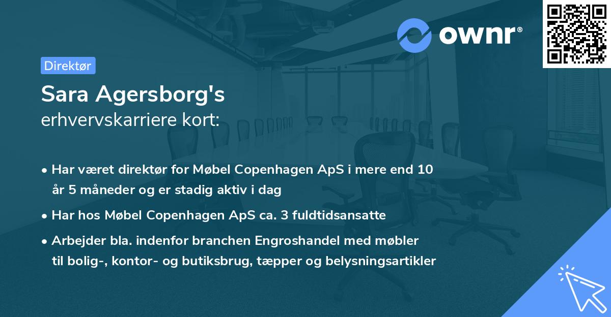 Sara Agersborg's erhvervskarriere kort