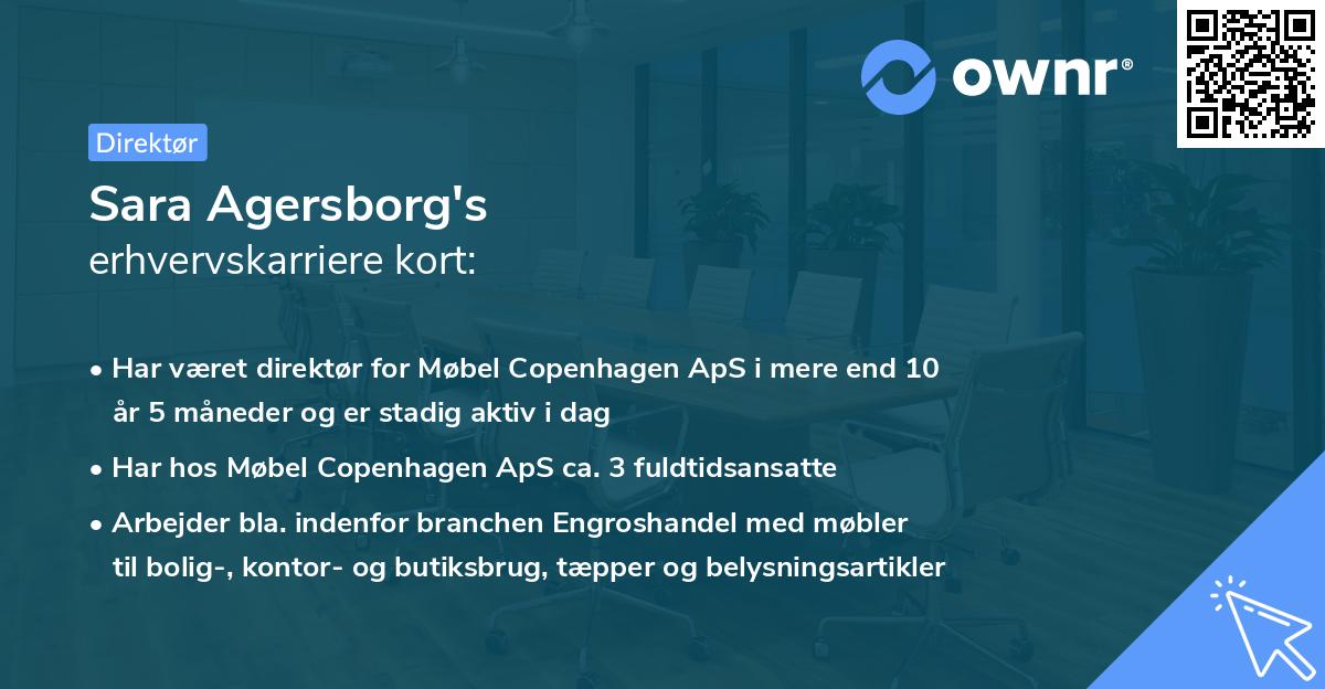 Sara Agersborg's erhvervskarriere kort