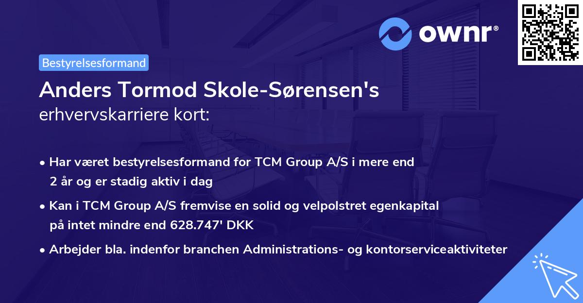 Anders Tormod Skole-Sørensen's erhvervskarriere kort