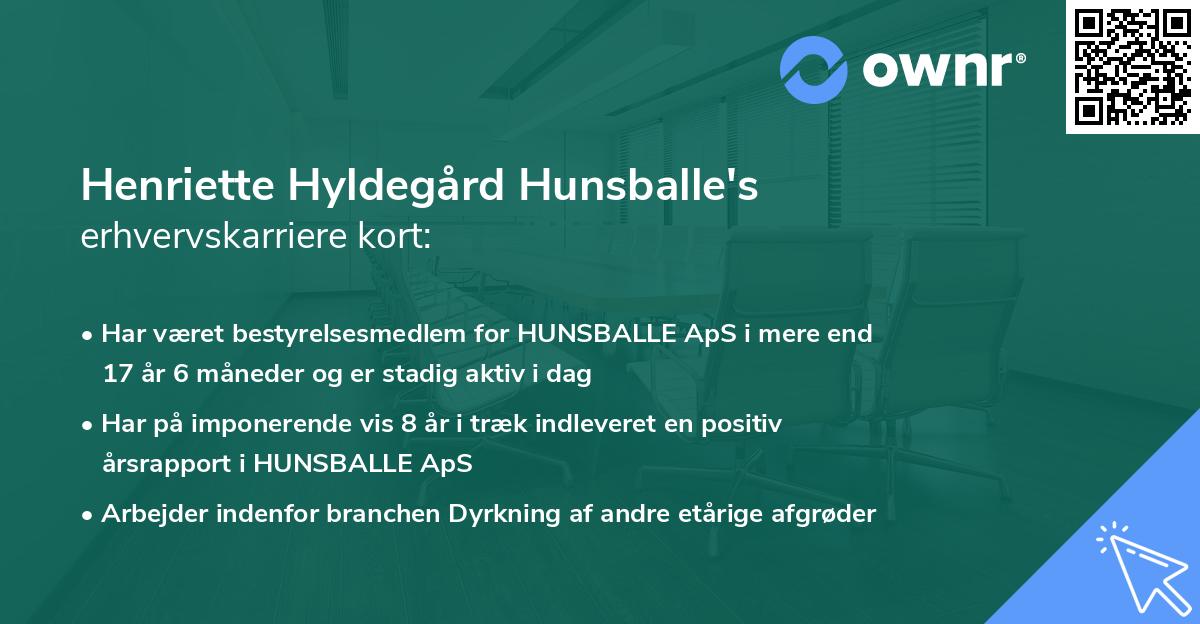 Henriette Hyldegård Hunsballe's erhvervskarriere kort