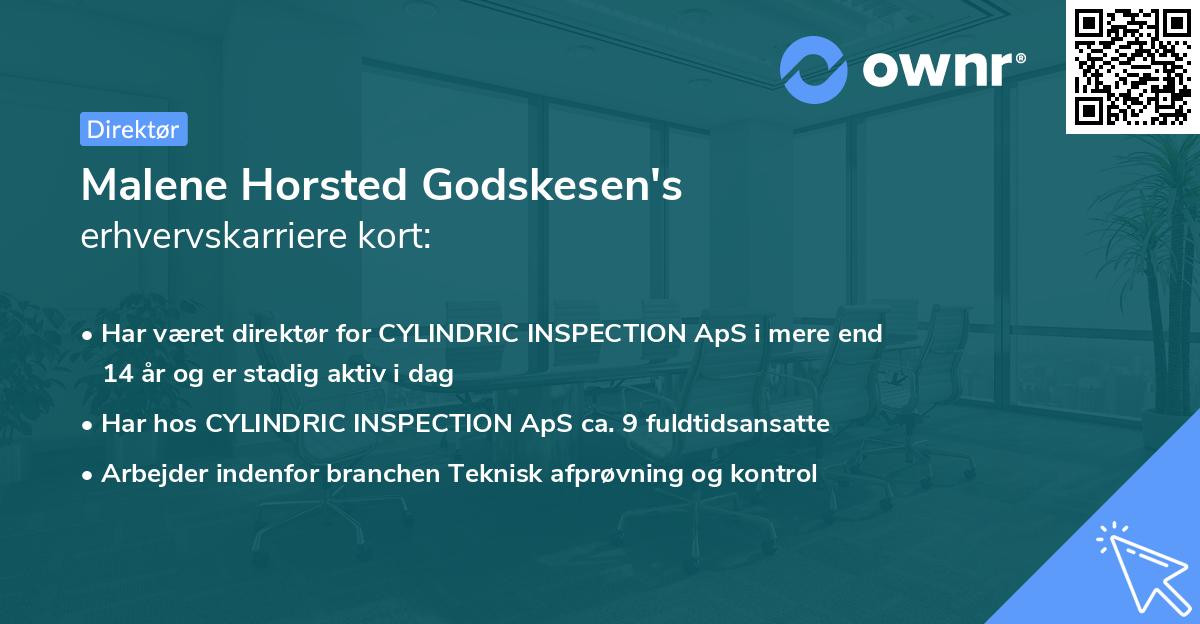 Malene Horsted Godskesen's erhvervskarriere kort