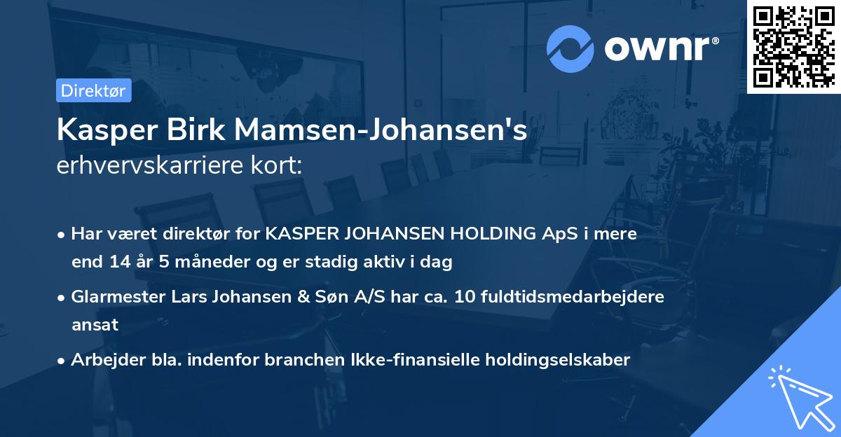 Kasper Birk Mamsen-Johansen's erhvervskarriere kort